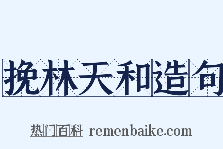 挽林天和造句是什么意思的图片